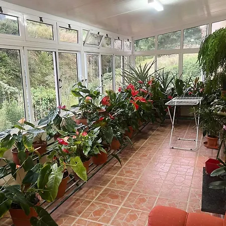 Vale Dos Passarinhos