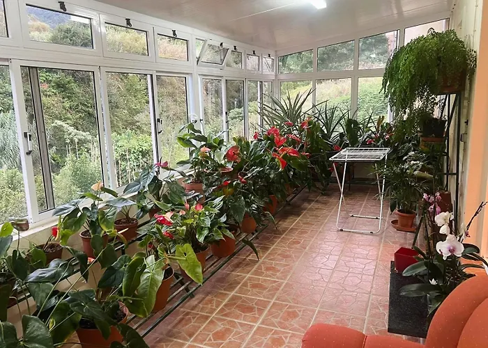 Vale Dos Passarinhos